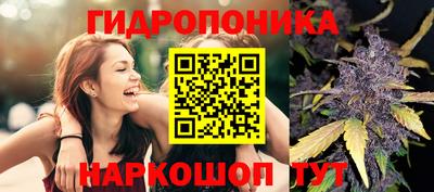 ПСИЛОЦИБИНОВЫЕ ГРИБЫ Новодвинск