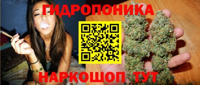 хмурый Новокубанск